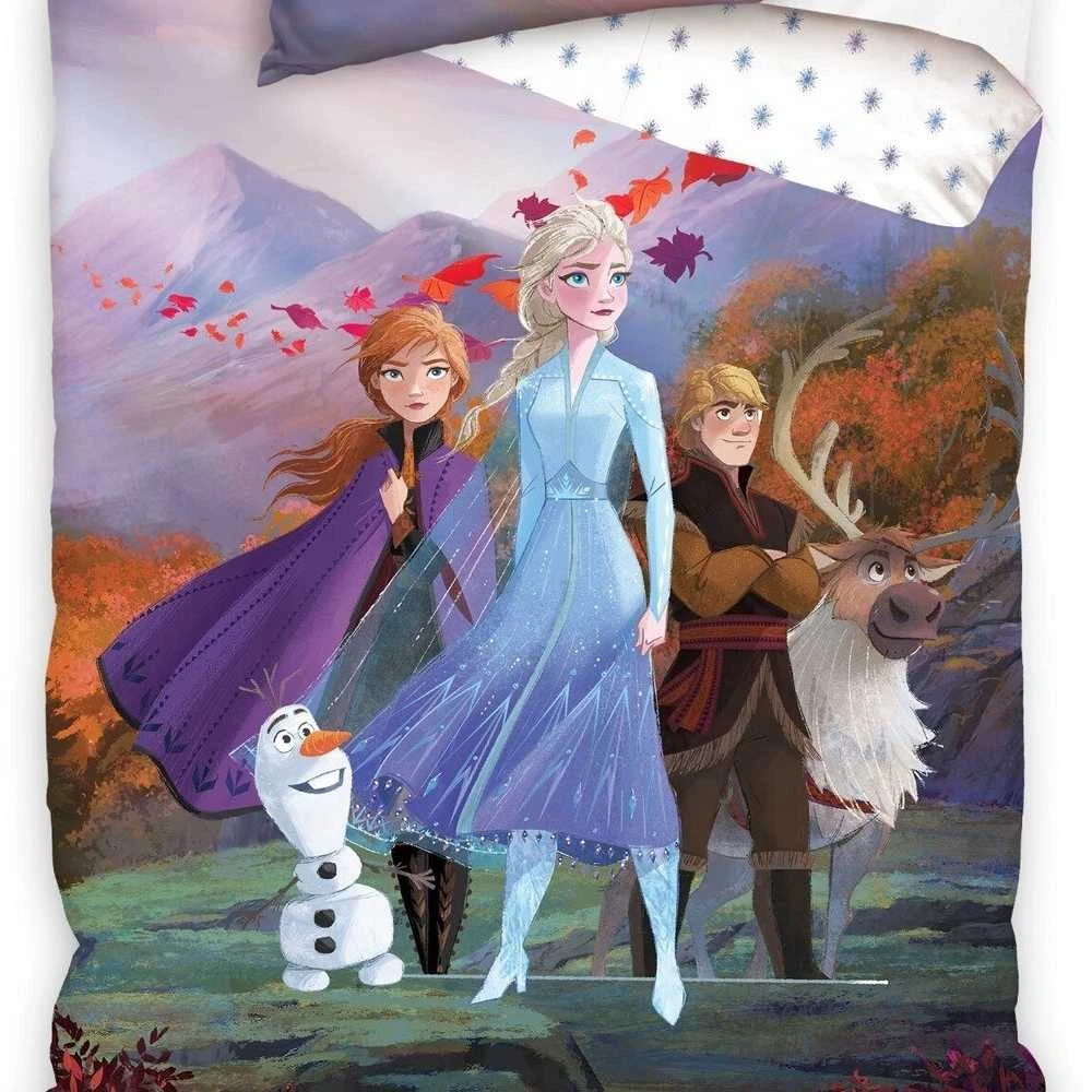 Patalynės komplektas FROZEN STORY, 140x200 cm