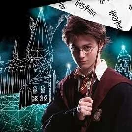 Patalynės komplektas HARRY POTTER SECRET, 140x200 cm