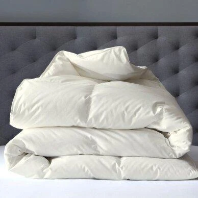 Saules Patalyne Žąsų pūkinė antkldė su tiku EXCLUSIVE PLUS, 200x220 cm - 70% pūkų, 30% plunksnų