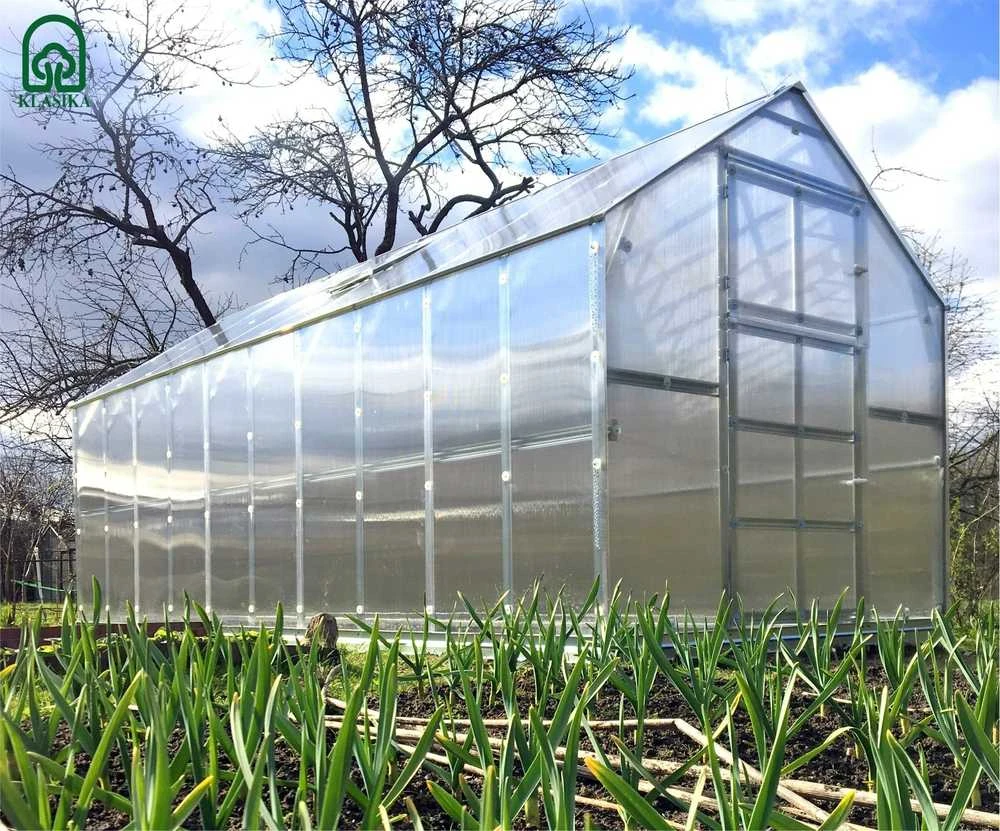 Meistro Kodas Šiltnamis KLASIKA*HOUSE 4 2,35 x 4,12 m (9,68 m2) 6 mm danga