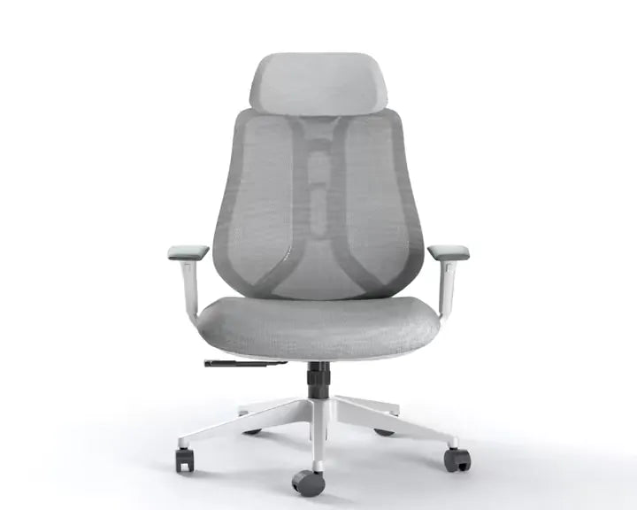 Ergonix OmniSit ProJuoda Ergonominė Biuro kėdė  150 kg. | 5 metų garantija aprašymas - Prekės nuotrauka