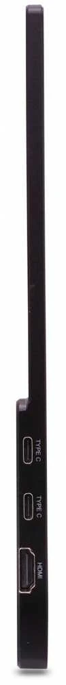 Monitorius Acer PM161QB1bmiuux - 60Hz | „Full HD“ | IPS | 15,6 colio