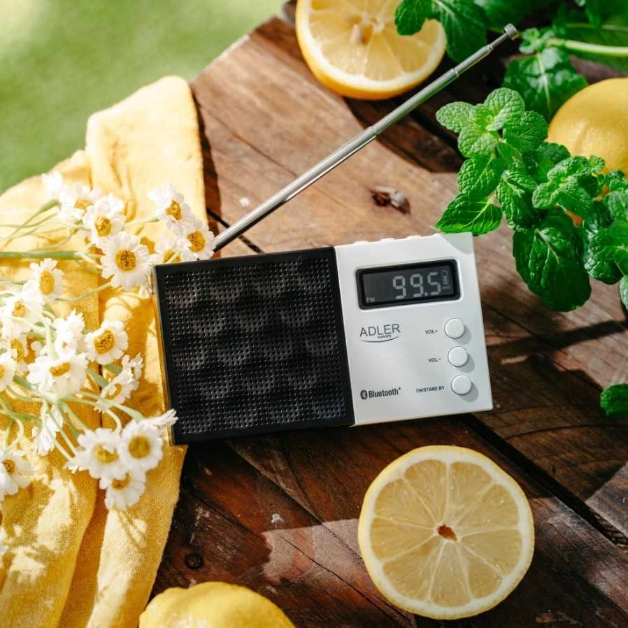 Adler | Digital Radio - PLL AM/FM | AD 1908 | Alarm function | Baltas/Juodas
