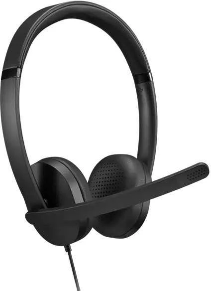 Lenovo Ausinės | USB-A Stereo Gen 2 | Su mikrofonu | su laidu | Juodas