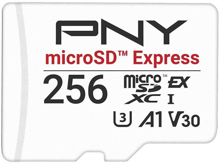 Atminties kortelė Karta PNY Express 256GB (P-SDU256P31880EXP-GE)