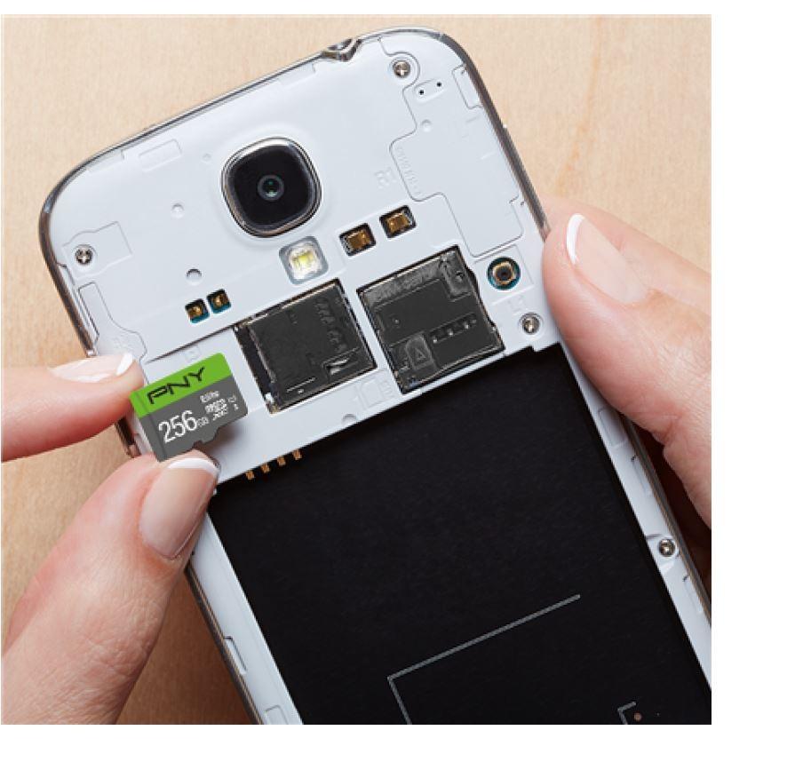 Atminties kortelė PNY Technologies PNY Elite 256 GB Micro SDXC UHS-I 10 klasės atmintis