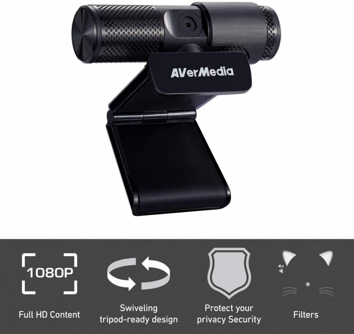 Kameros internetas AVerMedia PW313 40AAPW313ASF