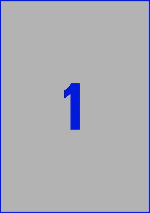 Lipnios etiketės Avery Zweckform, A4, atsparios drėgmei, 210x297mm, 1 etiketė lape, 20 lapų, sidabrinės spalvos