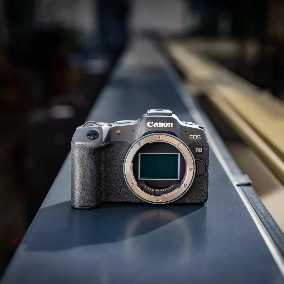 Canon EOS R8 + RF 24-50mm IS STM (Juodas)