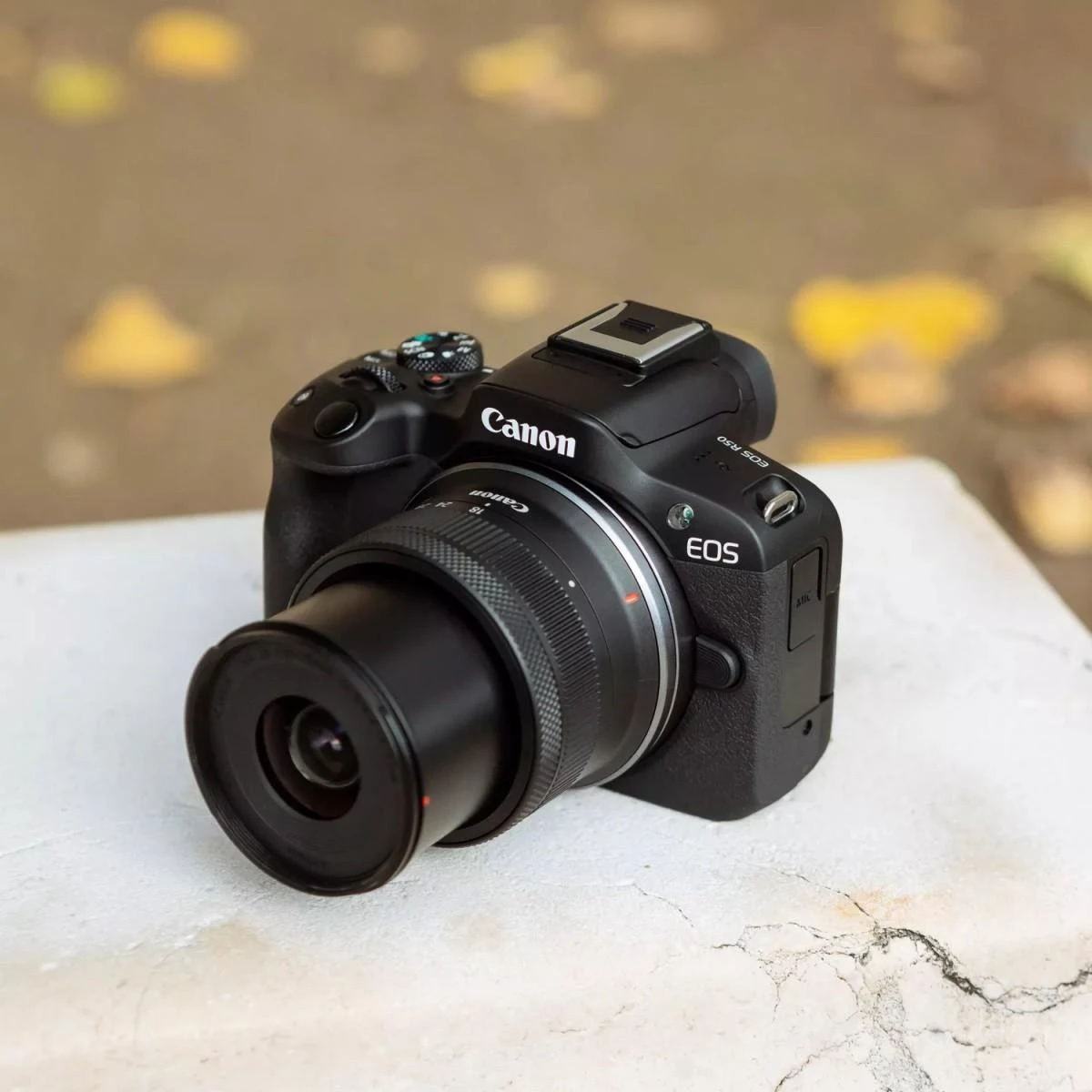 Canon EOS R50 + RF-S 18-45mm IS STM (Juodas)