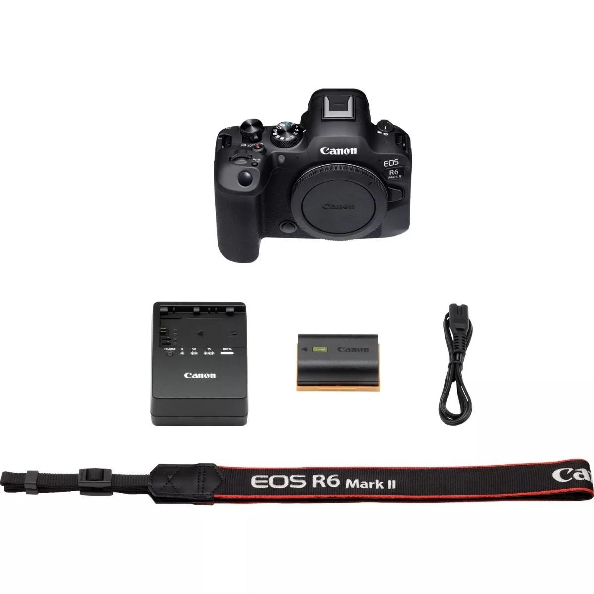 Canon EOS R6 Mark II korpusas