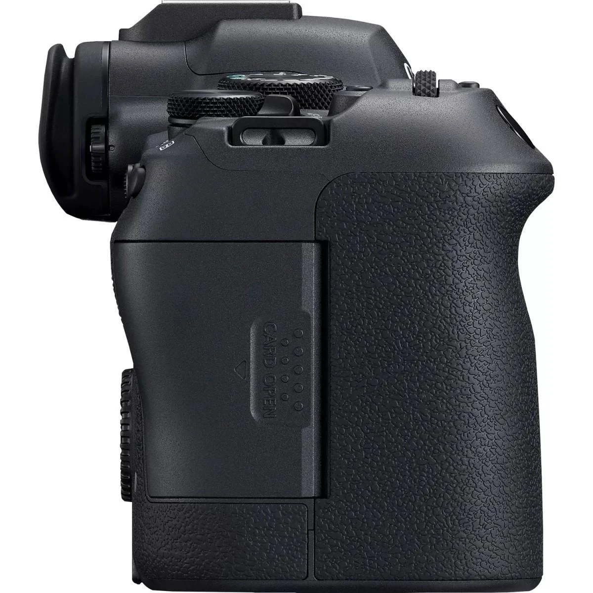 Canon EOS R6 Mark II + RF 24-105mm F4-7.1 IS STM