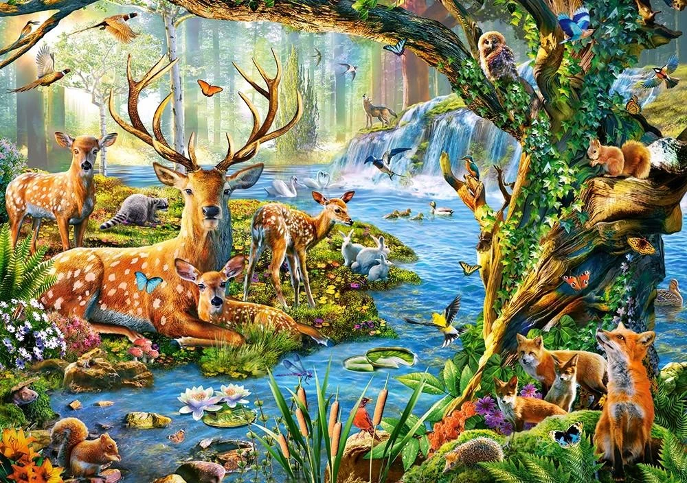 Castorland dėlionė Forest life 500 det