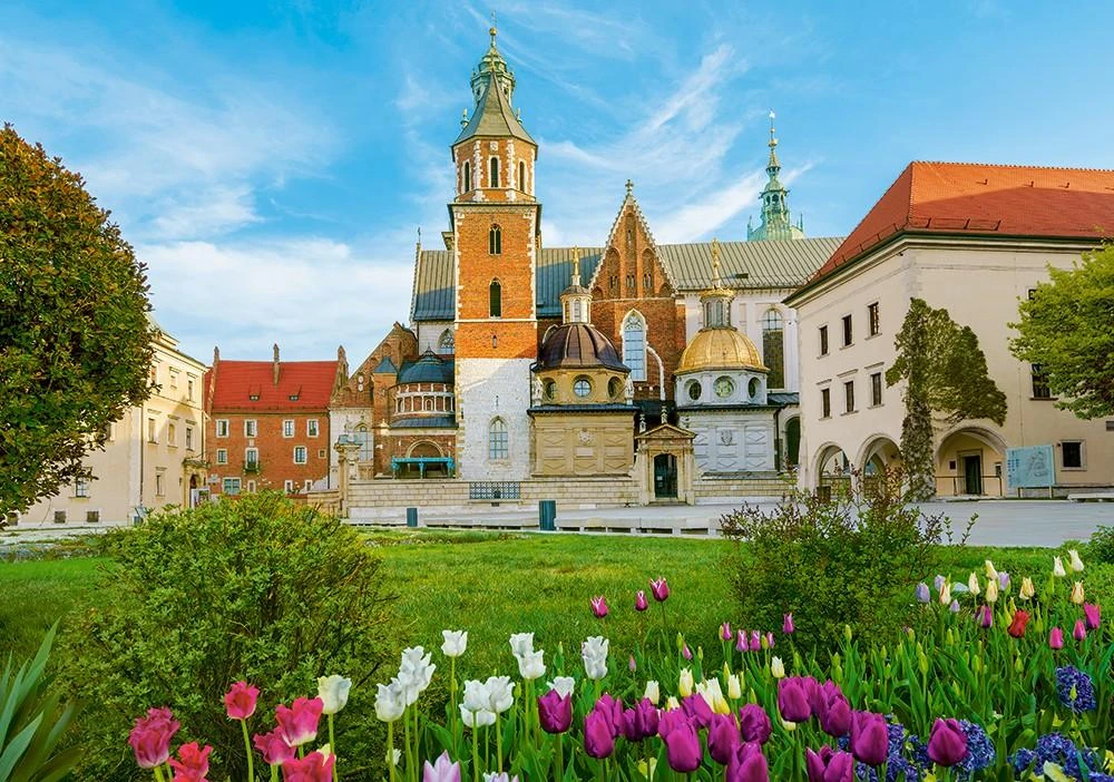 Castorland Dėlionė 500 vnt. - Vavelio karališkoji pilis Krokuva, Lenkija aprašymas - Prekės nuotrauka