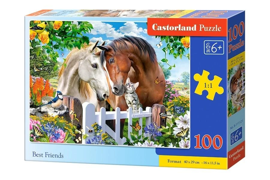 Castorland Dėlionė 100 vnt. - Geriausi draugai