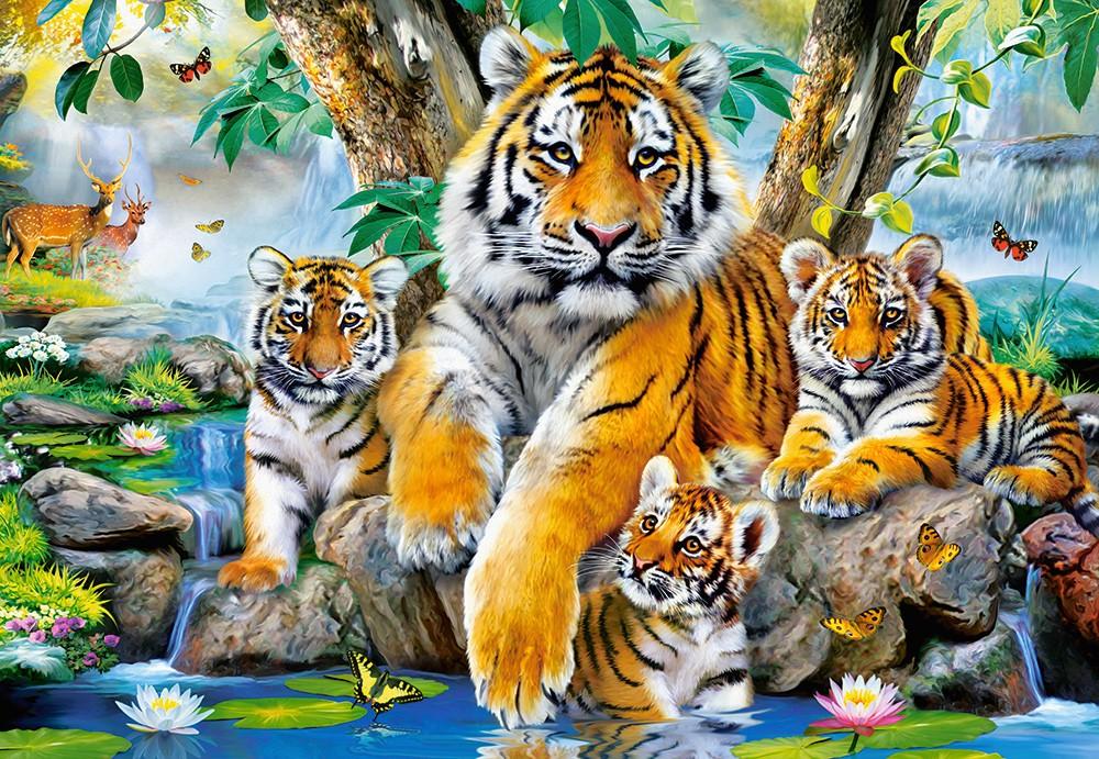 Castorland Dėlionė 1000 vnt. - Tigrai aprašymas - Prekės nuotrauka