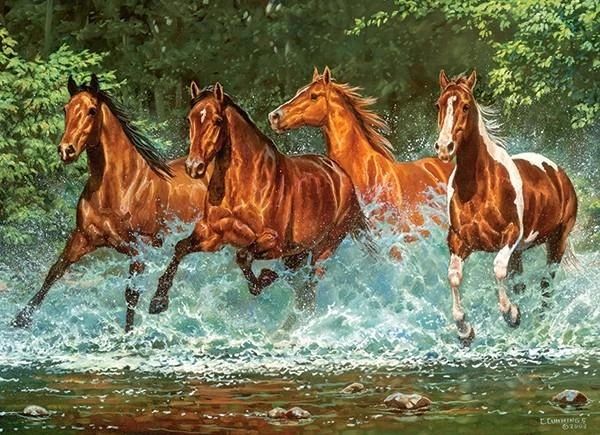 Dėlionė Castorland Puzzle 300 pcs. Cascade Run