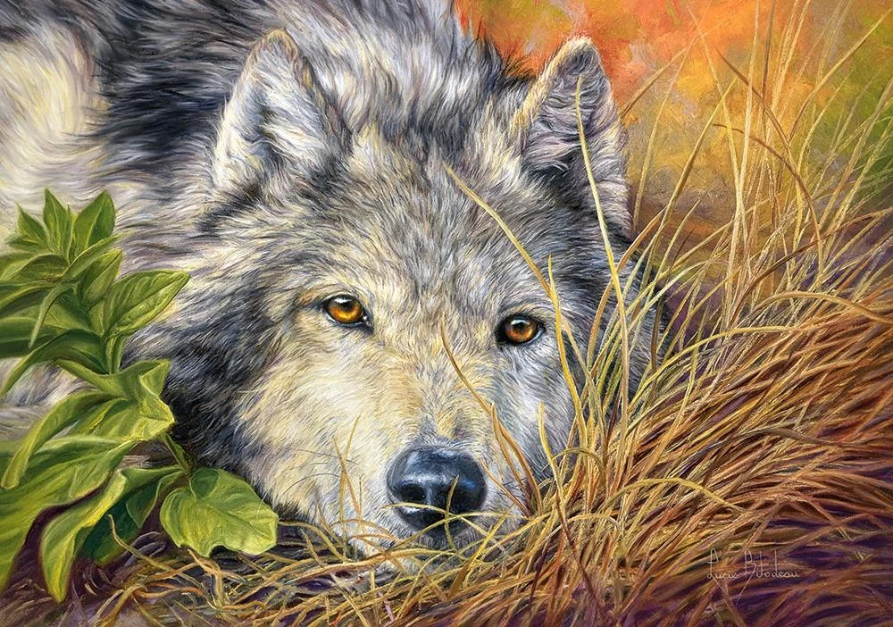 Castorland Dėlionė Pure Soul 500 Det