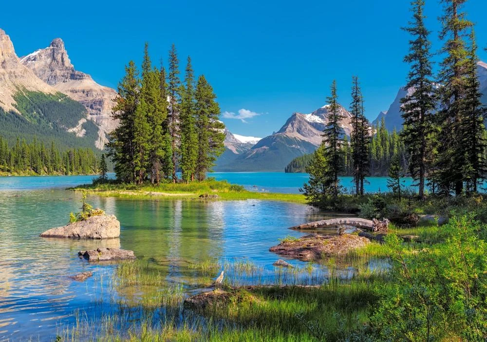Castorland dėlionė Maligne Lake, Canada 500 det