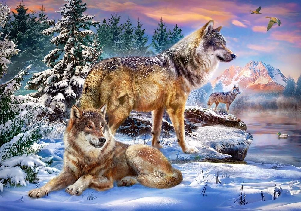 Castorland Dėlionė 500 vnt. - Vilkai aprašymas - Prekės nuotrauka