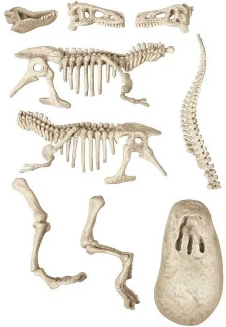 Clementoni Kasinėjimo rinkinys T-Rex