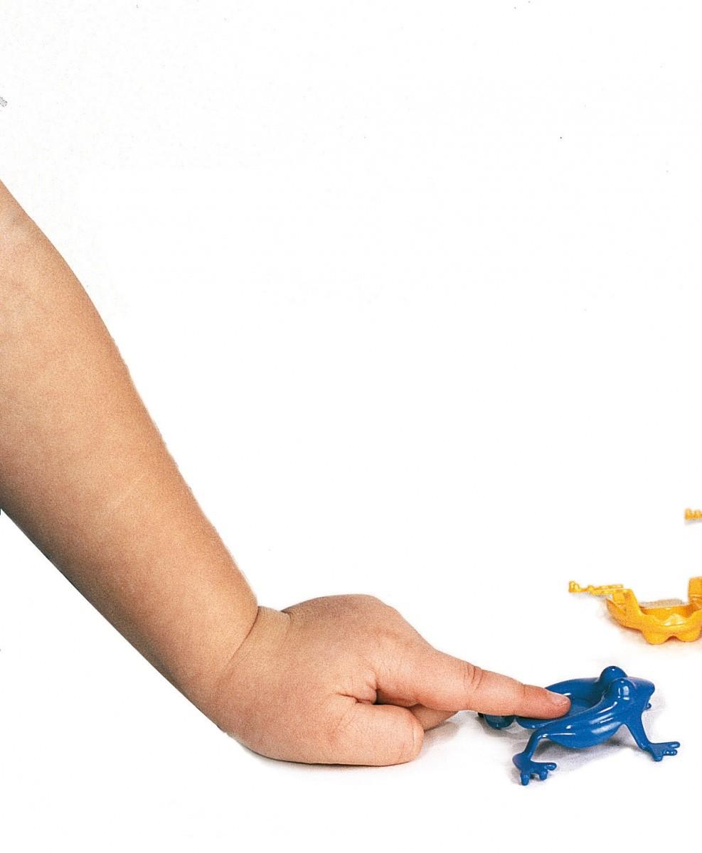 Dante VIKING TOYS Žaidimas „Varlytės“