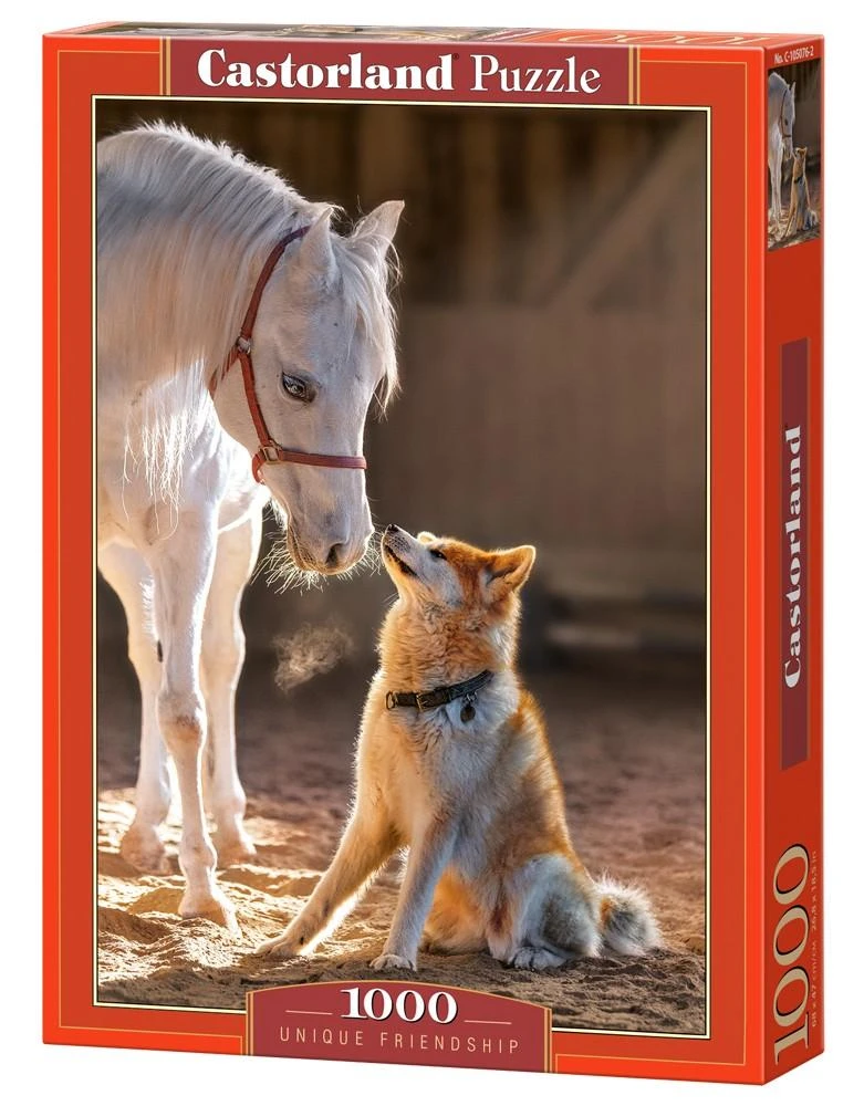 Castorland dėlionė Unique Friendship 1000 det