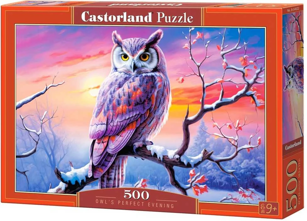 Castorland Dėlionė 500 vnt. - Pelėdos aprašymas - Prekės nuotrauka