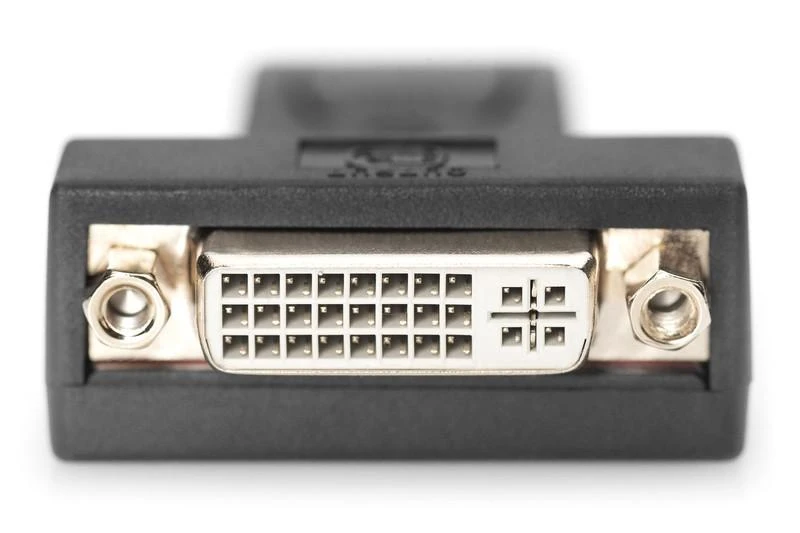 DisplayPort į DVI adapterio lizdo jungtis