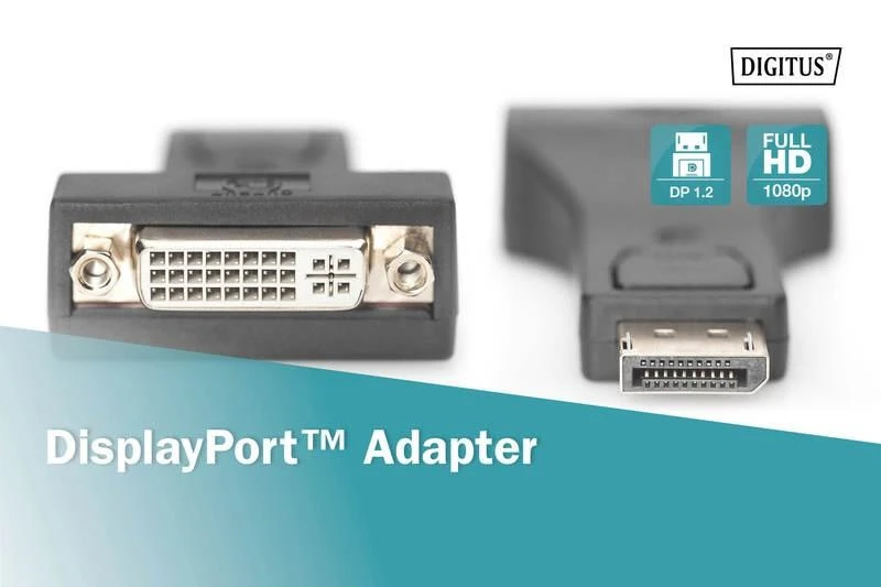 DisplayPort į DVI adapteris jungčių vaizdas