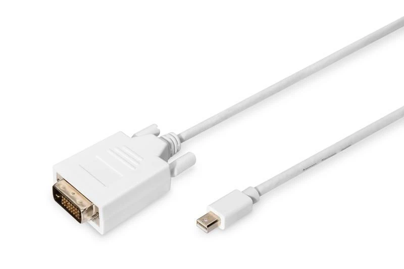 Assmann Electronic ASSMANN DisplayPort adapterio kabelis mini DP - DVI(24+1) M/M 2.0m DP 1.1a suderinamas su CE wh