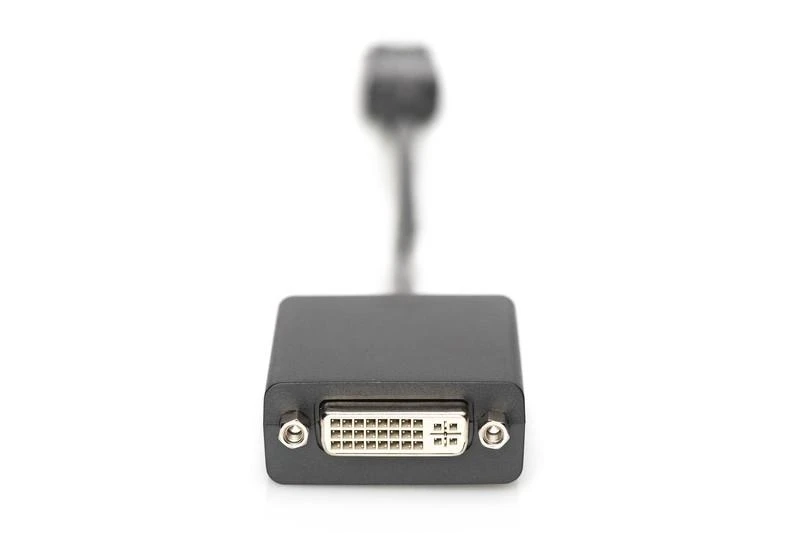 Assmann Electronic ASSMANN DisplayPort adapterio laidas DP - DVI 24+5 M/F 0.15m su blokavimu DP 1.1a suderinamas su CE bl