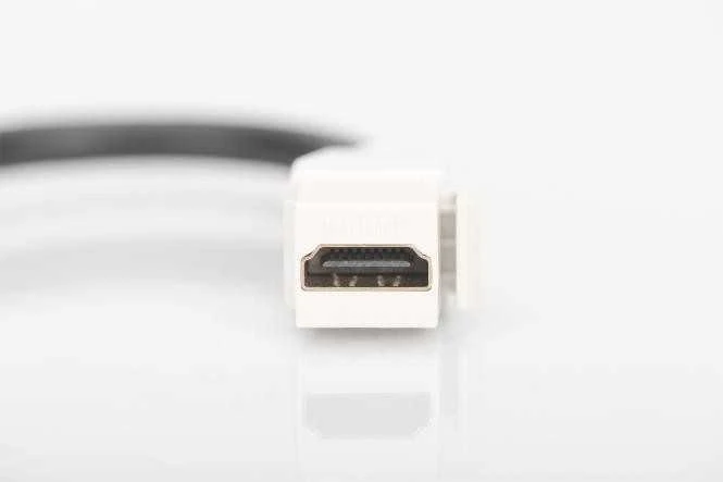 Digitus Keystone HDMI modulis su 12 cm kabeliu, lizdų ir tuščių skydų jungtimi, moteriška / moteriška, balta (DN-93403)