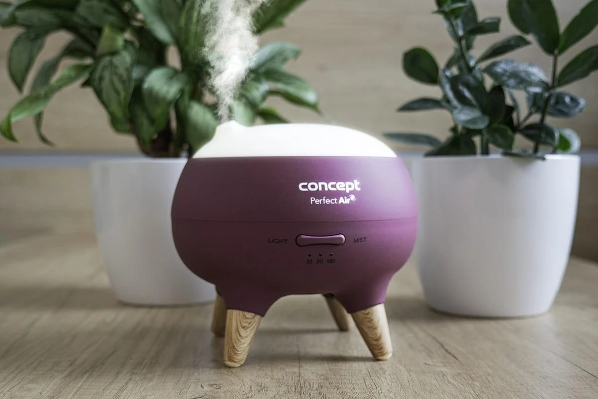 Concept Koncepcinis kvapų difuzorius Berry DF1011 Perfect Air
