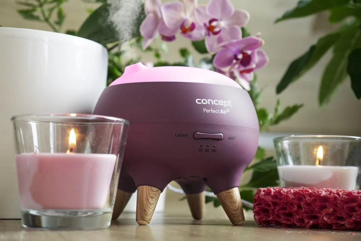 Concept Koncepcinis kvapų difuzorius Berry DF1011 Perfect Air