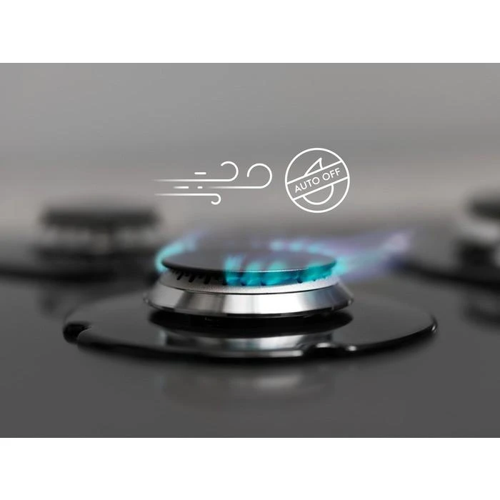 Dujinė viryklė Electrolux EGS6426SX (4 laukeliai, sidabrinio spalvos)