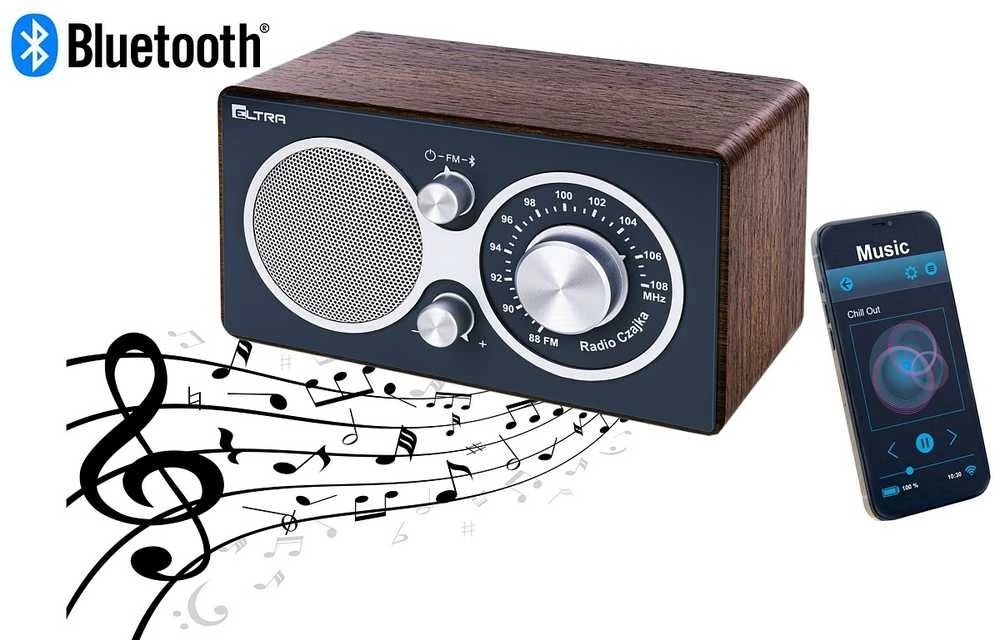 Eltra Pilkas „Czajka“ radijas su „Bluetooth“