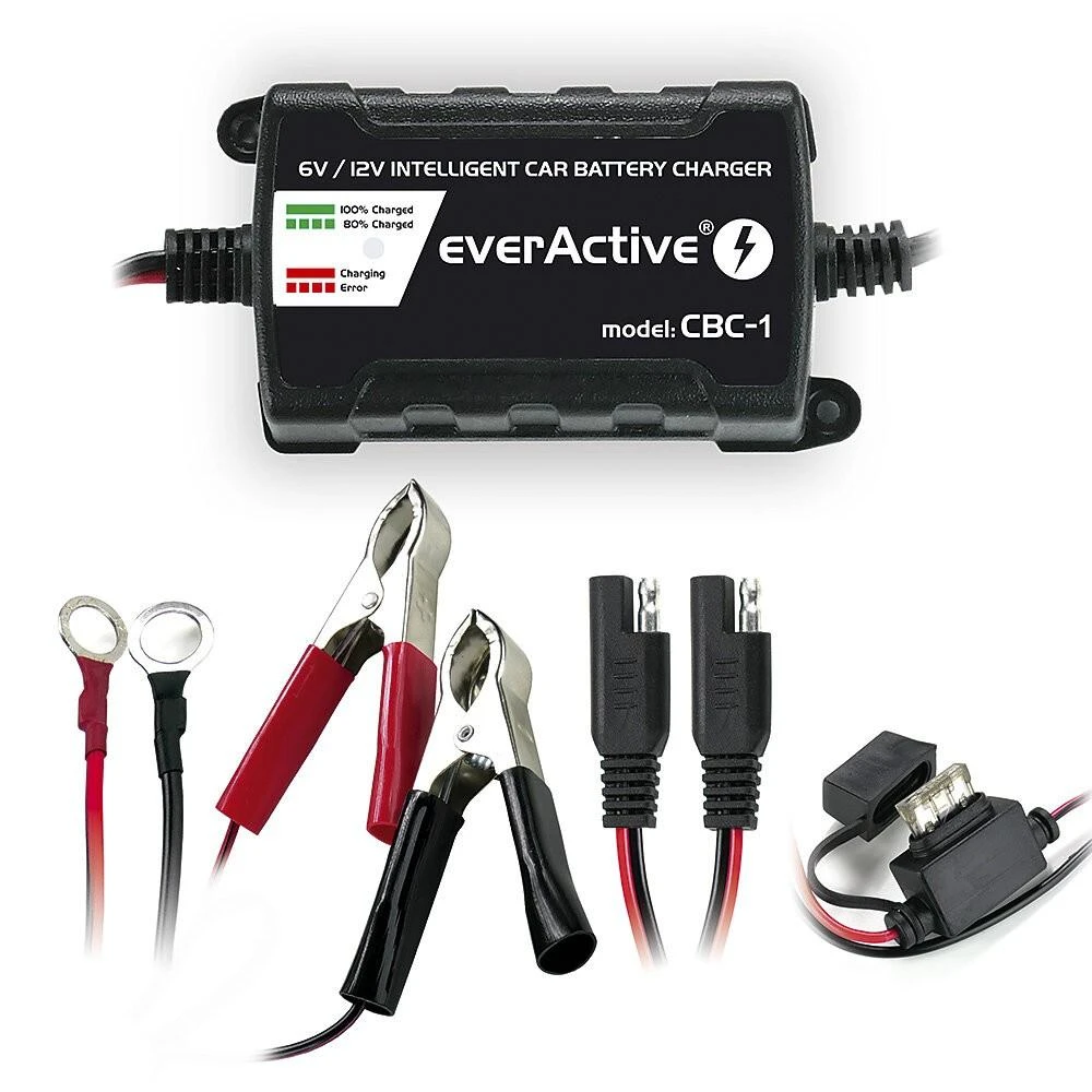 everActive universalus automatinis 6/12V 1000mA akumuliatorių kroviklis