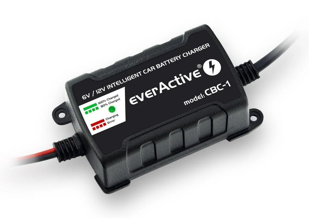 everActive universalus automatinis 6/12V 1000mA akumuliatorių kroviklis