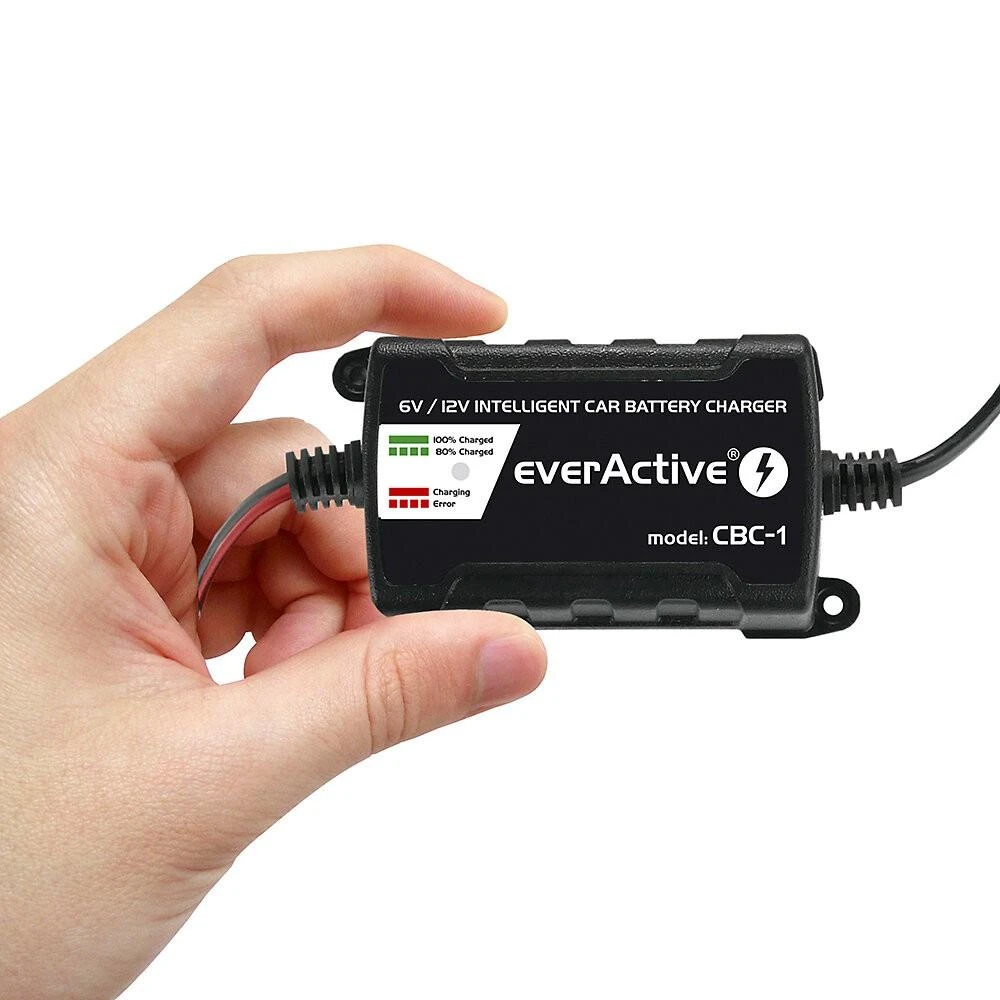 everActive universalus automatinis 6/12V 1000mA akumuliatorių kroviklis