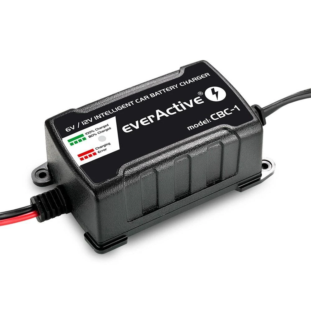 everActive universalus automatinis 6/12V 1000mA akumuliatorių kroviklis