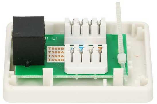 Extralink | Lizdas natynkowe | 1x RJ45 KAT5E UTP