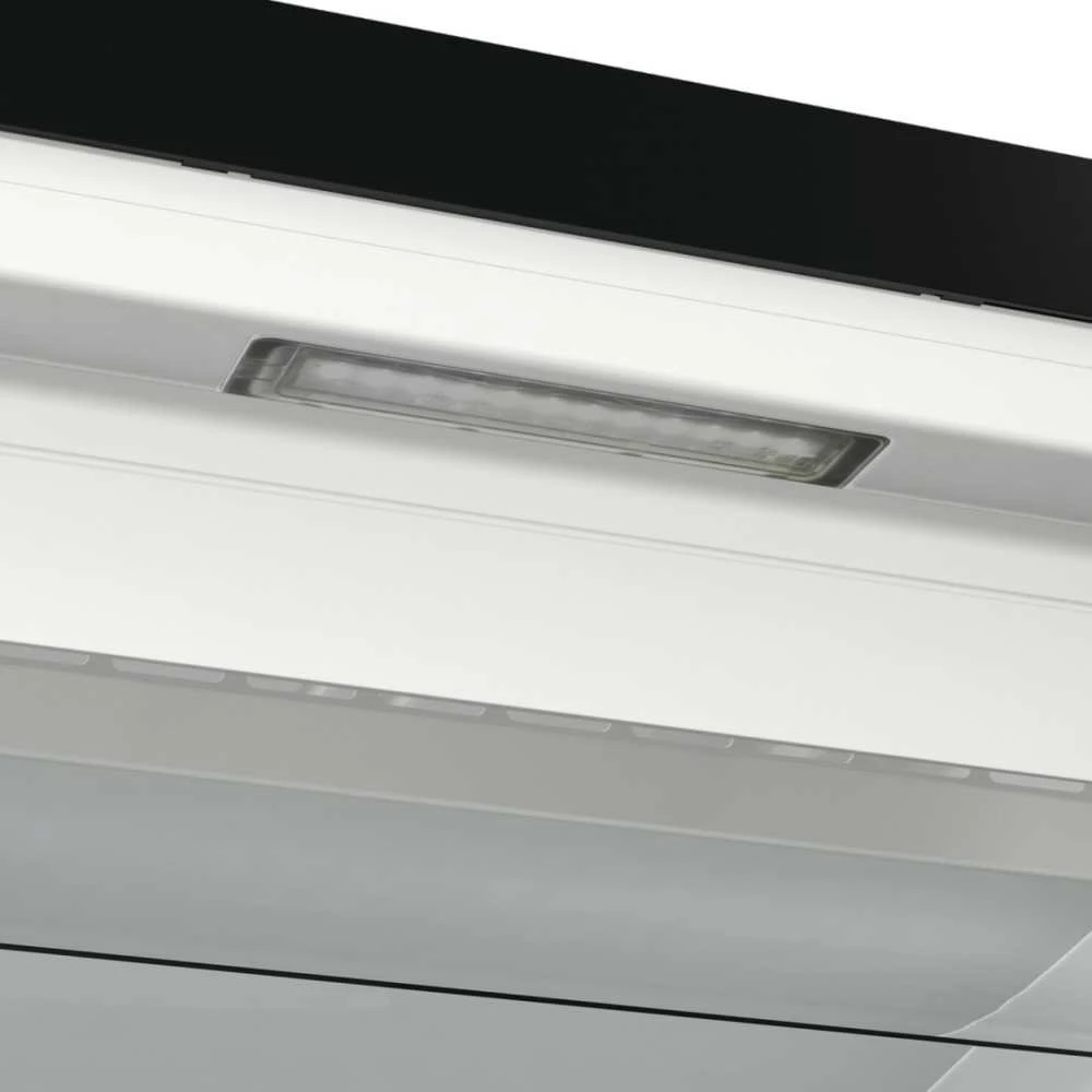Gorenje FN619EABK6