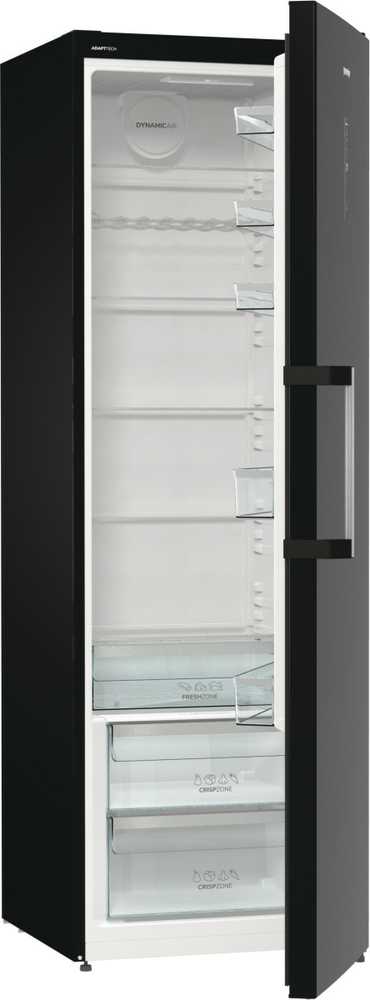 Šaldytuvas Gorenje R619EABK6