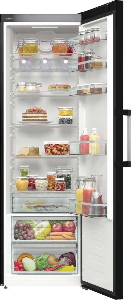 Šaldytuvas Gorenje R619EABK6