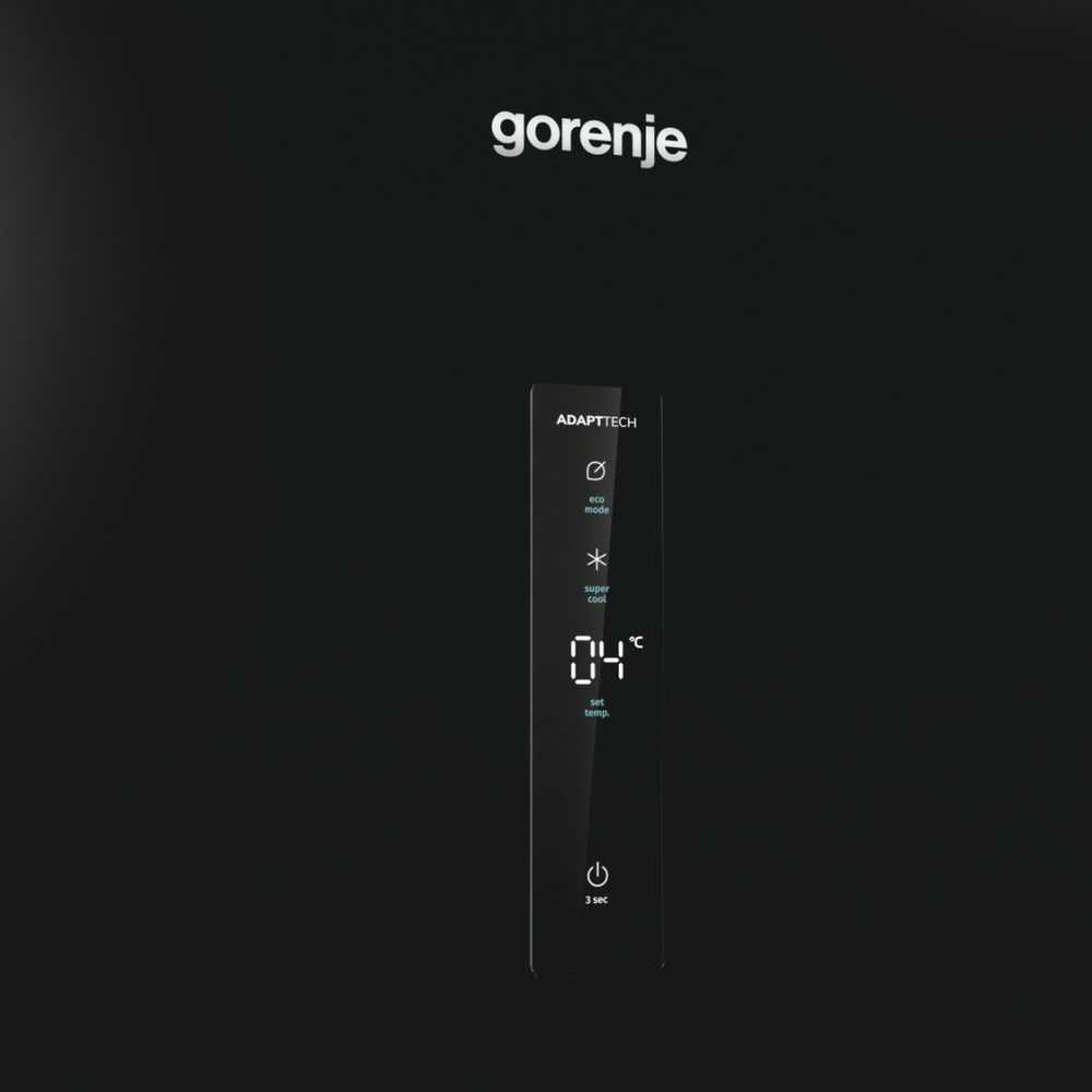 Šaldytuvas Gorenje R619EABK6