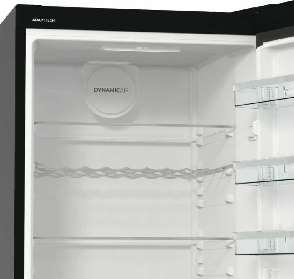 Šaldytuvas Gorenje R619EABK6