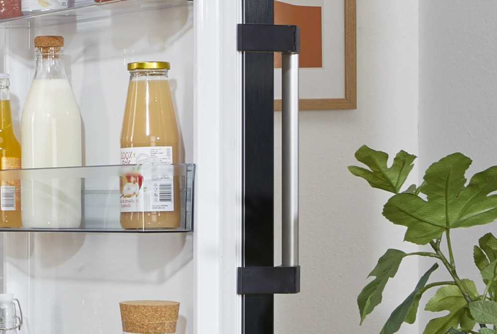 Šaldytuvas Gorenje R619EABK6