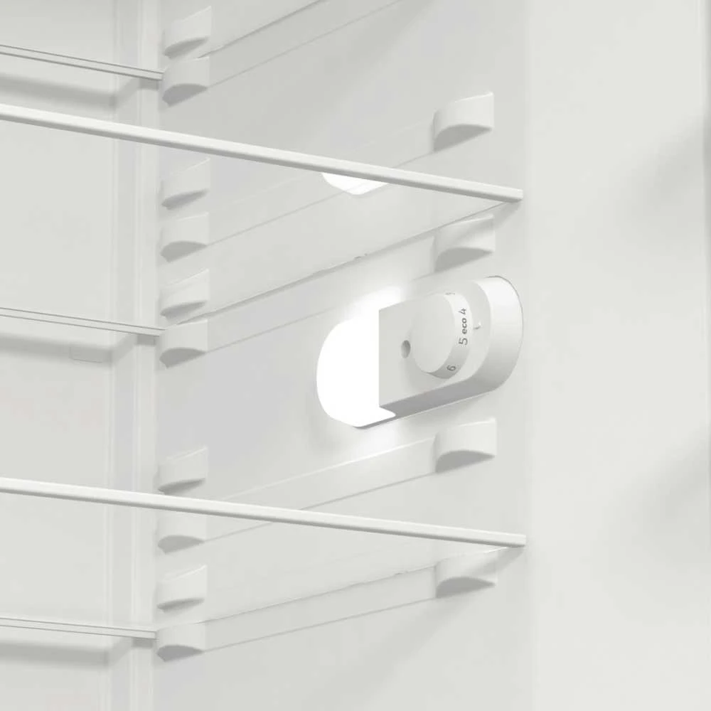 Šaldytuvas GORENJE R619EES5