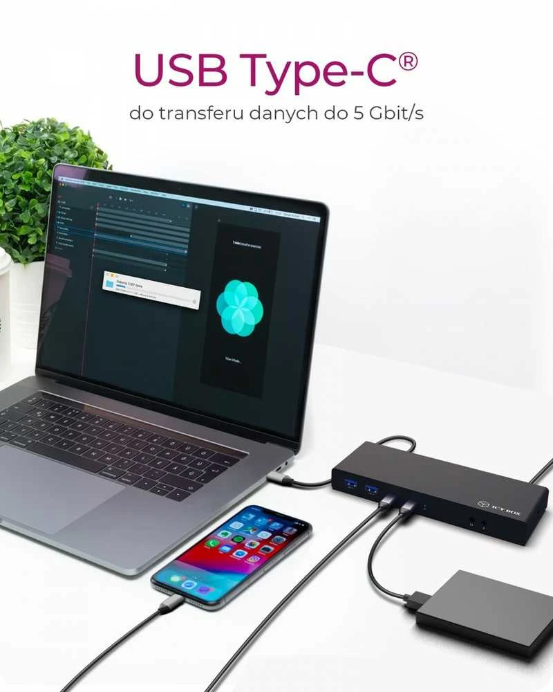Raidsonic | ICY BOX 13-in-1 USB 3.0 Type-A + Type-C Dock | IB-DK2245AC | Įkrovos stotelė